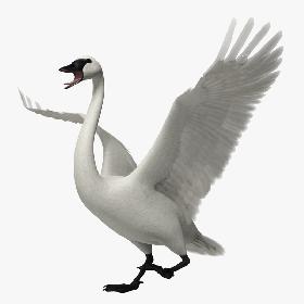 3D Deer Animated (Fur) model